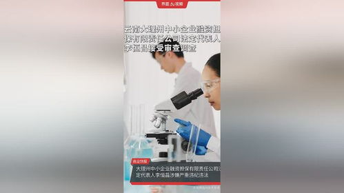 云南大理州中小企業(yè)融資擔保公司高管被查，中小企業(yè)融資生態(tài)引關(guān)注